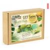 DIY Soap Kit - Graine Créative - Mojito Recipe - Beige - Child - Mixed