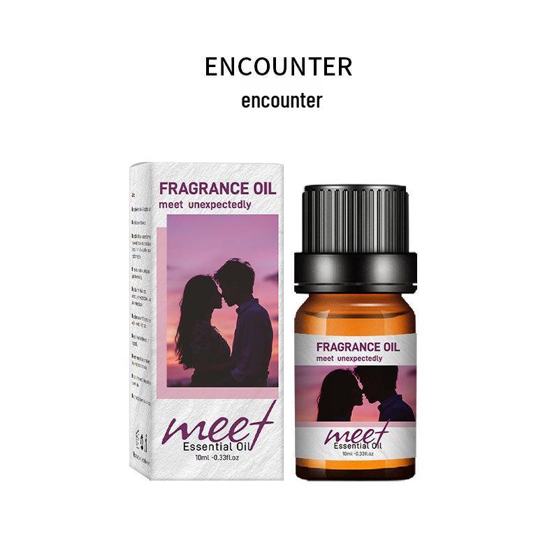 Диффузор и сменный блок для эфирных масел 10 мл – Каменная аромамашина с долговечным дезодорирующим ароматом