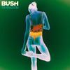Bush - The Kingdom [CD]