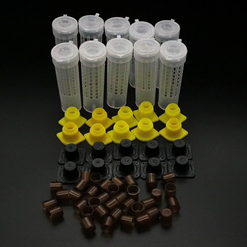 Complete Bee Queen King Rearing Kit System Cages Bees Tools Set Supplier Tool Equipment Base Celular Cells Cell Beekeeping