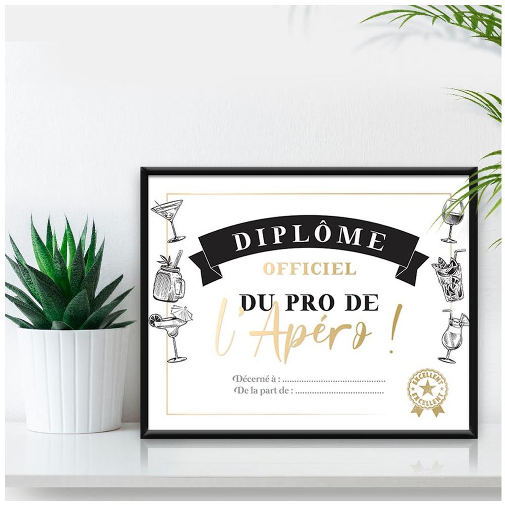 Les Trésors De Lily [A3456] - Рамка для диплома «Apéro Pro», разноцветная, 25x20 см.