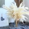 5/10/20Pcs White Reed Pampas Grass Wheat Ears Rabbit Tail Grass Natural Dried Flowers Bouquet Wedding Decoration Hay for Party Bohemian Home