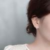 Half-arc Brushed Ear Buckles, Niche High-end Atmosphere Earrings for Women, Cold Style Design
