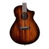 Breedlove Organic Wildwood Pro Concert Suede CE