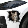 3D наклейки на автомобиль с изображением кота, автомобильный бампер, царапины, передний капот мотоцикла, декор топливного бака, съемные аксессуары для животных