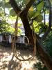 46 Inch Triple Line Indian Original TULSI Tulasi Holy Basil Vaishnav Iskcon Mala Kanthi Yoga Prayer Healing Meditation
