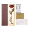 Long Stem Dipped 24k Gold Rose In Gift Box with Clear Display Stand Red Roses for Her