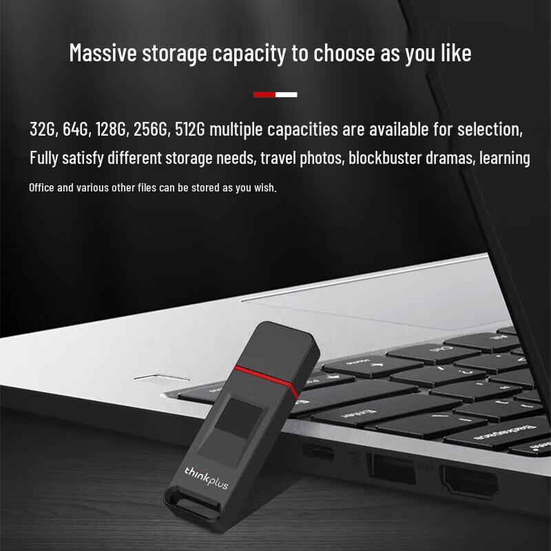 Lenovo USB 3.2 Флеш-накопитель ThinkPlus FU200 с шифрованием по отпечатку пальца