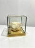High quality natural moroccan white quartz geode with copper-border glass display box mineral specimen home office decor