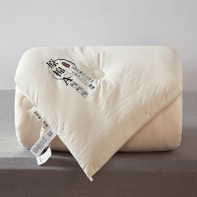 Good Sleep Soybean Fiber Winter Quilt