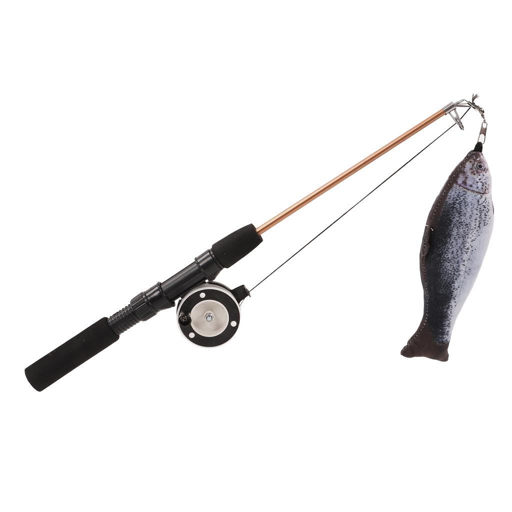 Retractable Cat Teaser Wand Toy Interactive Fishing Rod with Simulation Fish for Cats(Salmon