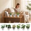 White Flowerpot Green Plant Potted Green Simulation Plant Potted Creative Desktop Ornament  Balcony