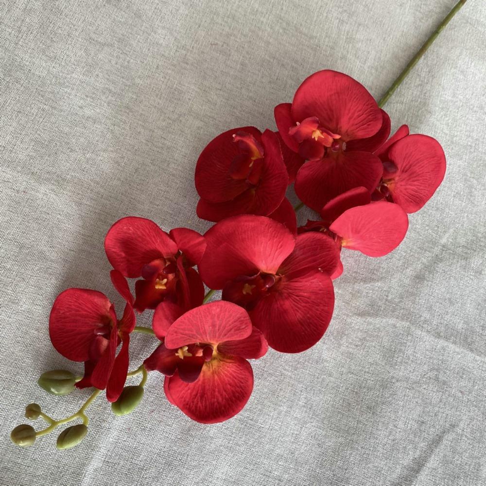8-Head Arrangement Artificial Butterfly Orchid Velvet Texture Fake Phalaenopsis  Wedding Hall