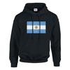 Sweat à capuche - PIXELFORMA - Drapeau de l'Argentine - Длинные манши - Col capuche - Нуар