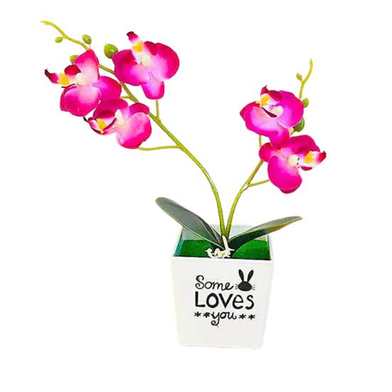 Мода Моделирование Цветок Декоративный Нежный Привлекательный