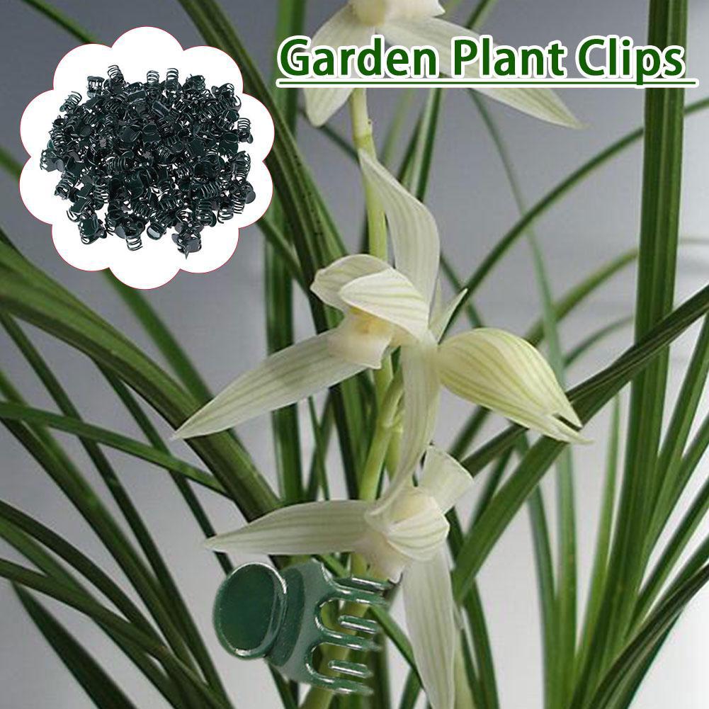 Клипсы-бабочки для вьющихся растений, крючок-зажим для лозы, садовый зажим для поддержки, вертикальный зажим для роста стеблей цветущих растений из ротанга J5F4