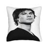 Vampire Diaries Damon Klaus  Pillow Case  Novelty Pillow Cover Graphic Pillowcases For Sofa Home Decoration