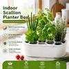 Multi-Hole Design Hydroponic Growing Kit Breathable Plastic Breathable Plant Container  For Kitchen