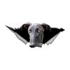 3D Black Galgo Dog Car Sticker, Fun Waterproof Sticker for Cars, Trucks, Motorcycles, Walls, Windows, PVC Material