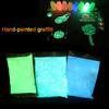 Luminous Paint  Pigment Nail Coating Noctilucent Fluorescent Powder