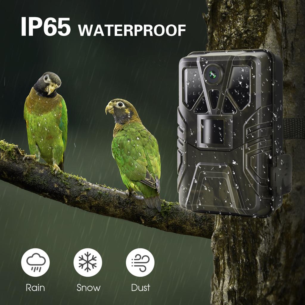 Wi-Fi Trail Camera 4k 36mp Bt App Control Охотничья камера Игровая камера с ночным видением 65 футов Обнаружение 120° IP65 Водонепроницаемая