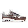 Air Max 1 Premium Shima Shima 2023 Unisex Sneakers Brown Summit-White Plum-Eclipse FB8916-100