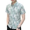 Summer Trend Men's Short-sleeved Ice Silk Shirt Short-sleeved Thin Blouse Handsome Shirt Men's Fashion Versatile Shirt