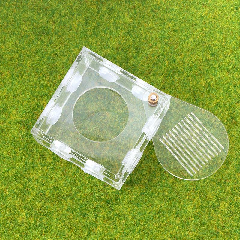 Акриловая зона активности муравьев, гнездо для подключения пробирки, коробка для кормления муравьиной фермы своими руками