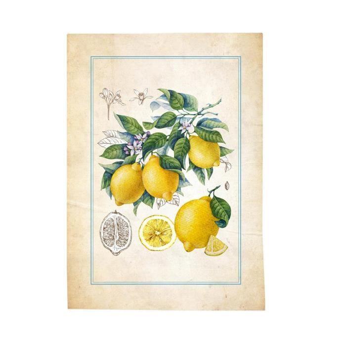 Торшоны — Фрукты — 50x70 см — 100 % хлопок — Можно стирать до 40° — Лот из 3 шт.