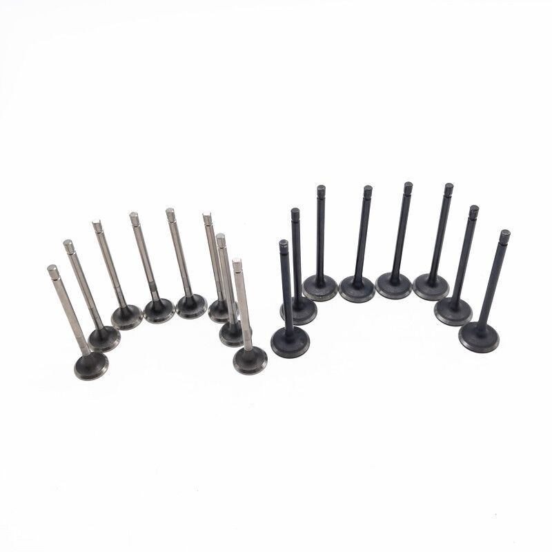 Intake valve 1007011-ED01 to Great Wall HOVER HAVER H5 WINGLE5 2.0T Diesel GW4D20 engine a set of 16