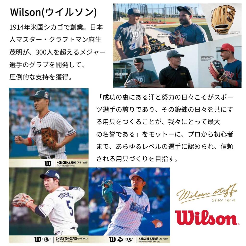 Перчатки Wilson защитные для одной руки левой руки L WB5750601L WL-1 белые/темно-синие