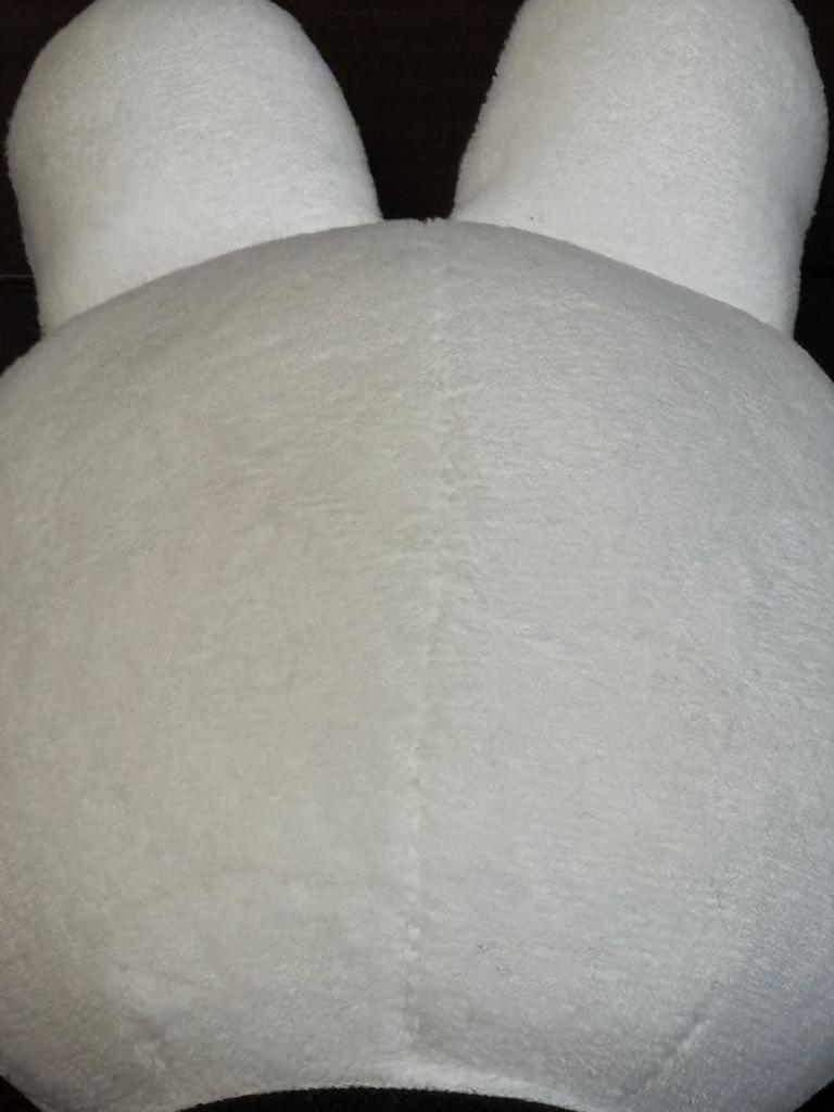 [USED] Straykids Reno Plush Toy Ribbit