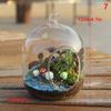 Hanging Transparent Ball Glass Flower Planter Vase Terrarium Landscape Container