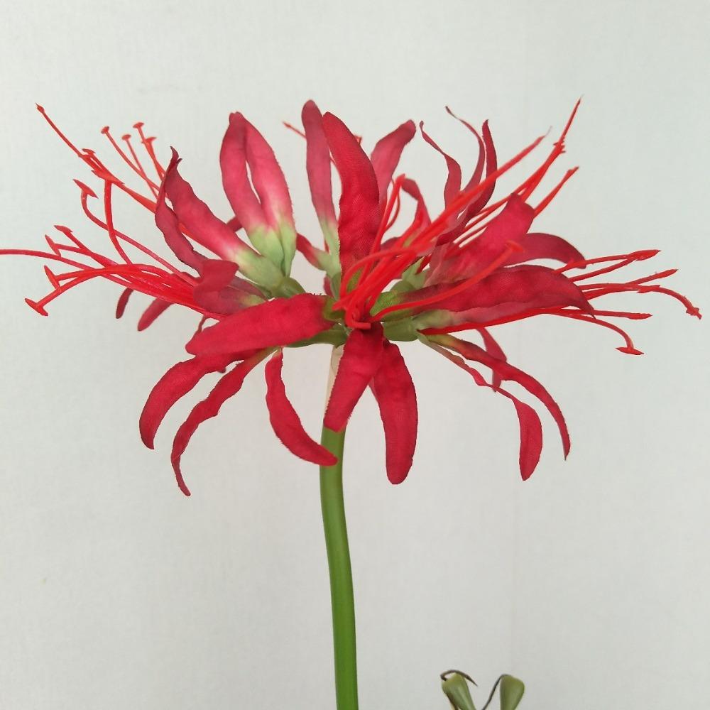 Паучьи лилии, искусственные цветы, шелковый псевдоликорис, букет, имитация Маньчжушахуа, домашний декор