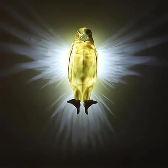 3D светодиодный настенный светильник с животными, ночник, низкое энергопотребление, без мерцания, простая установка, для использования в помещении, на открытом воздухе, белоголовый орлан, настенный светильник, лампа с совой