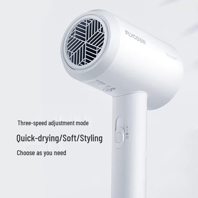 FLYCO FH6290 1800W Negative Ion Hair Dryer CN plug (adapter included)
