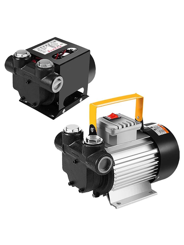 High-Power Diesel Electric Self-Priming Oil Transfer Pump, 12V/24V/220V, 550W Vehicle-Mounted Fuel Dispenser