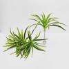 Green Plants Artificial Chlorophytum Plants Simulation Chlorophytum Indoor Outdoor Decoration