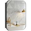 Bathroom Mirror Cabinet, Bathroom Cabinet with Mirror, Adjustable Shelf, 40.2 x 10.2 x 50.9 cm, Black