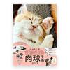 Ежедневник Impress Nyanko Мягкая лапка Кошка Techo 2027 B6 189 x 133 мм Японский язык