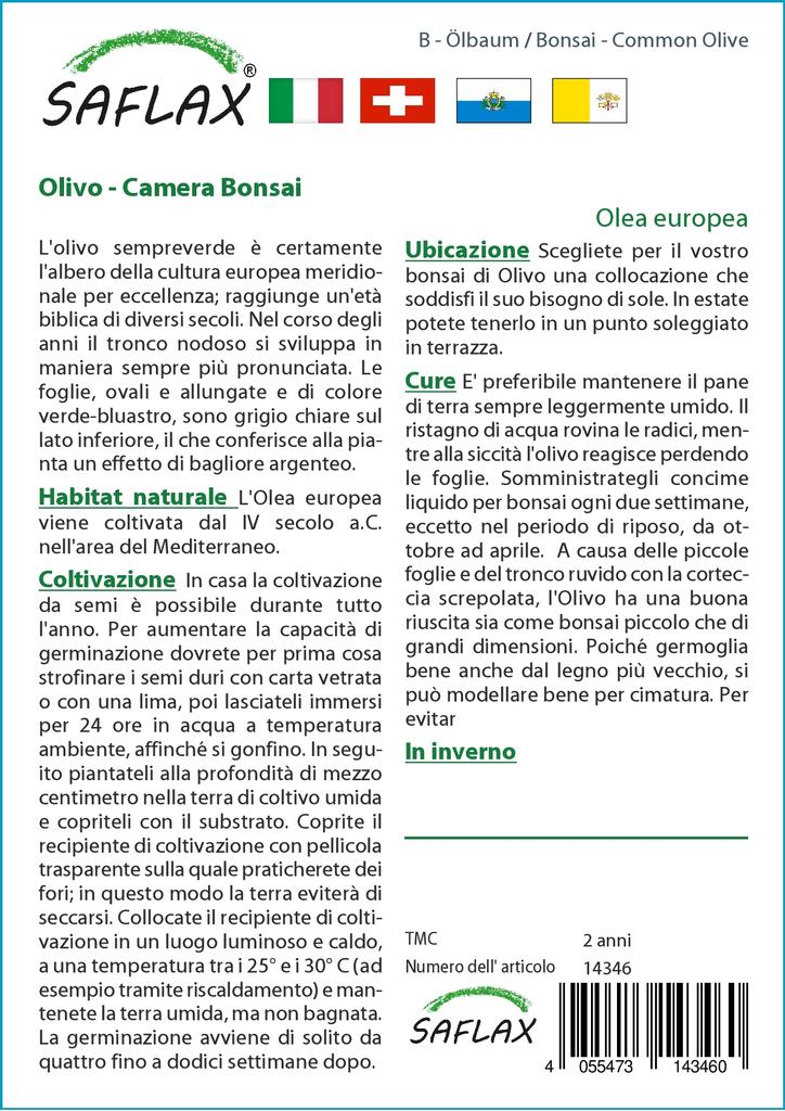 SAFLAX Garden in the Bag - Бонсай - Олива обыкновенная - 20 семян - С субстратом в подходящем пакете - Olea europea