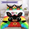 3pcs Bing Bedding Set Duvet Cover Closure Includes 1 Duvet Cover & 2 Pillowcases, Soft and Comfortable for All Seasons.
