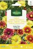 Gallardia Large Flower Seeds