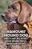 Книга Hanover Hound Dog : Complete Guide, Info, Pictures, Care and More About Hanover Hound Dog Breed: Hanover Hound Dog Care Manual