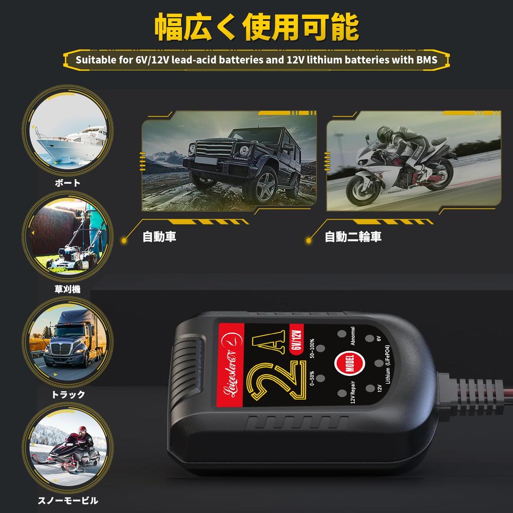 LeicesterCNL LST Charger for 6V and , Charger, Bad Identification, 72-Hour