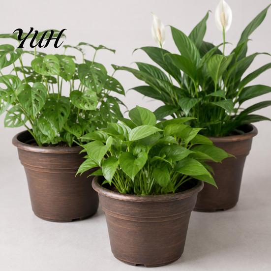 Drainage Pots for Succulents Retro Flower Pot with Saucer, Bronze Finish Plant Holes, Distressed Planters Breathable Thickened Plastic Planter Indoor