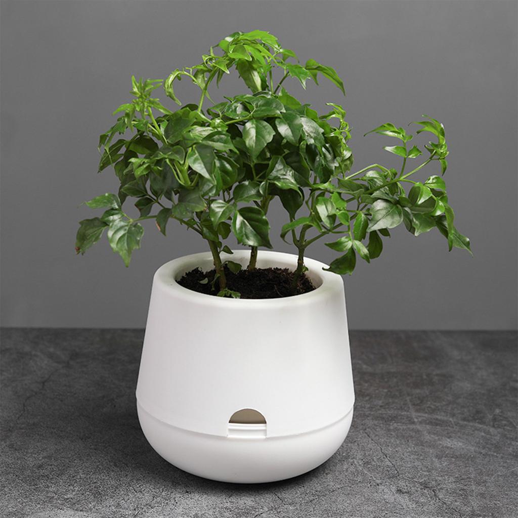 Self Watering Planter Pots with Water Reservoir for Small Indoor Plants