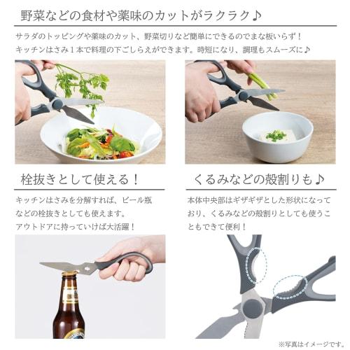 Takeda Corporation RH-20 Removable Kitchen Scissors, Gray, 20 x 8 x 1 cm, Washable and Removable
