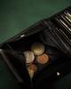 Men's foldable wallet made of genuine leather - Peterson