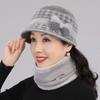 Autumn and Winter Hats Women's Wool Hats Plush Winter Thermal Cotton Hats
